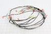 Dacor Cooktop Wire Harness - 106724