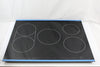 Dacor Glass Top Assembly - 703484