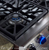 Dacor ER30GSCH/LP 30 Inch Pro-Style Gas Range with 4.04 cu. ft. Manual Clean Convection Oven