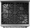 Dacor HGER30S/NG 30 Inch Epicure Gas Range with SimmerSearâ„¢ Burners
