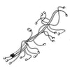 Dacor Cooktop Main Wire Harness Assembly - DG96-00477A