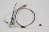 Dacor DE81-03417A Wire Harness, 2-Light