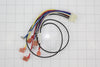 Dacor Wall Oven, Warming Oven Wall Oven Wire Harness - DE81-03719A