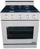 Dacor DR30GFS/NG 30 Inch Freestanding Gas Range with Convection