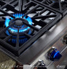 Dacor ER30GSCH/LP/H 30 Inch Pro-Style Gas Range with 4.04 cu. ft. Manual Clean Convection Oven