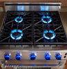 Dacor ER30GSCH/NG/H 30 Inch Pro-Style Gas Range with 4.04 cu. ft. Manual Clean Convection Oven