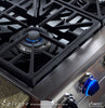 Dacor ER30GSCH/NG 30 Inch Pro-Style Gas Range with 4.04 cu. ft. Manual Clean Convection Oven