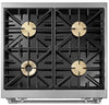 Dacor HDPR30S/NG 30 Inch Freestanding Professional Dual Fuel Range With 4 Sealed Burners